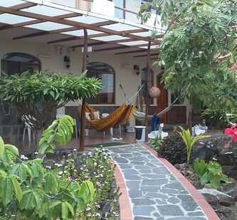 Cómo limpiar tu jardín en el otoño