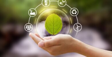 Impacto ambiental del packaging plástico convencional y el papel de los productos compostables 11 Impacto ambiental del packaging plástico convencional y el papel de los productos compostables