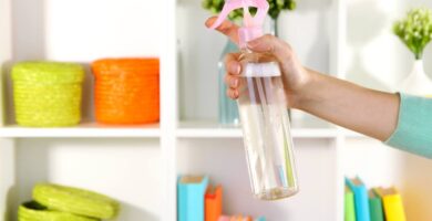 ¿Qué aceites esenciales resultan eficaces para limpiar el aire en casa? 6 ¿Qué aceites esenciales resultan eficaces para limpiar el aire en casa?