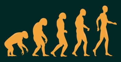 ¿Qué es la evolución? 5 ¿Qué es la evolución?