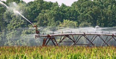 Sistemas de riego para la agricultura y las granjas 7 Sistemas de riego para la agricultura y las granjas