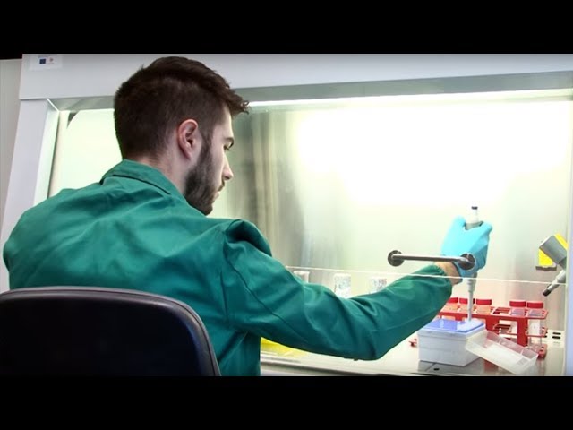 Descubre la biotecnología UPNA: Innovación y estudios avanzados 1 Descubre la biotecnología UPNA: Innovación y estudios avanzados