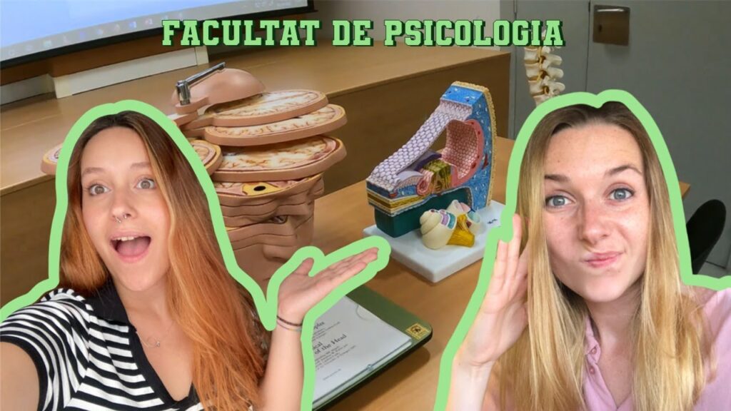 Mejores estrategias para exámenes psicología UAB 1 Mejores estrategias para exámenes psicología UAB